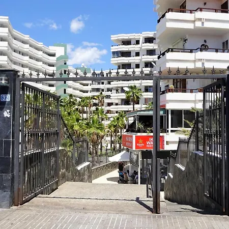 Milu Playa del Ingles (Gran Canaria)